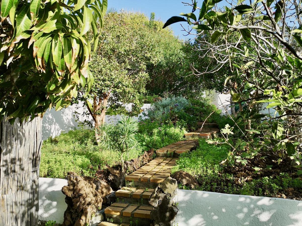 Nanou House Villa La Matanza De Acentejo Dış mekan fotoğraf