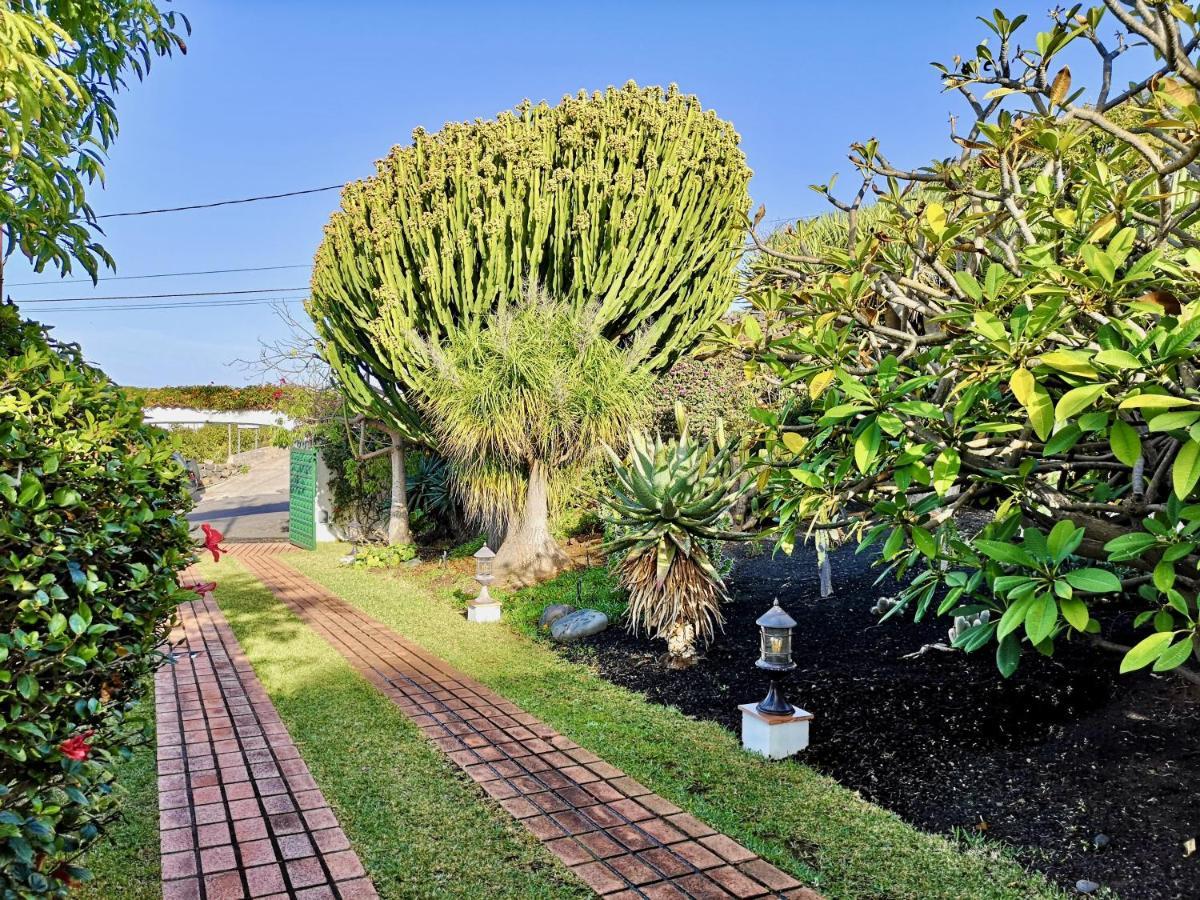 Nanou House Villa La Matanza De Acentejo Dış mekan fotoğraf