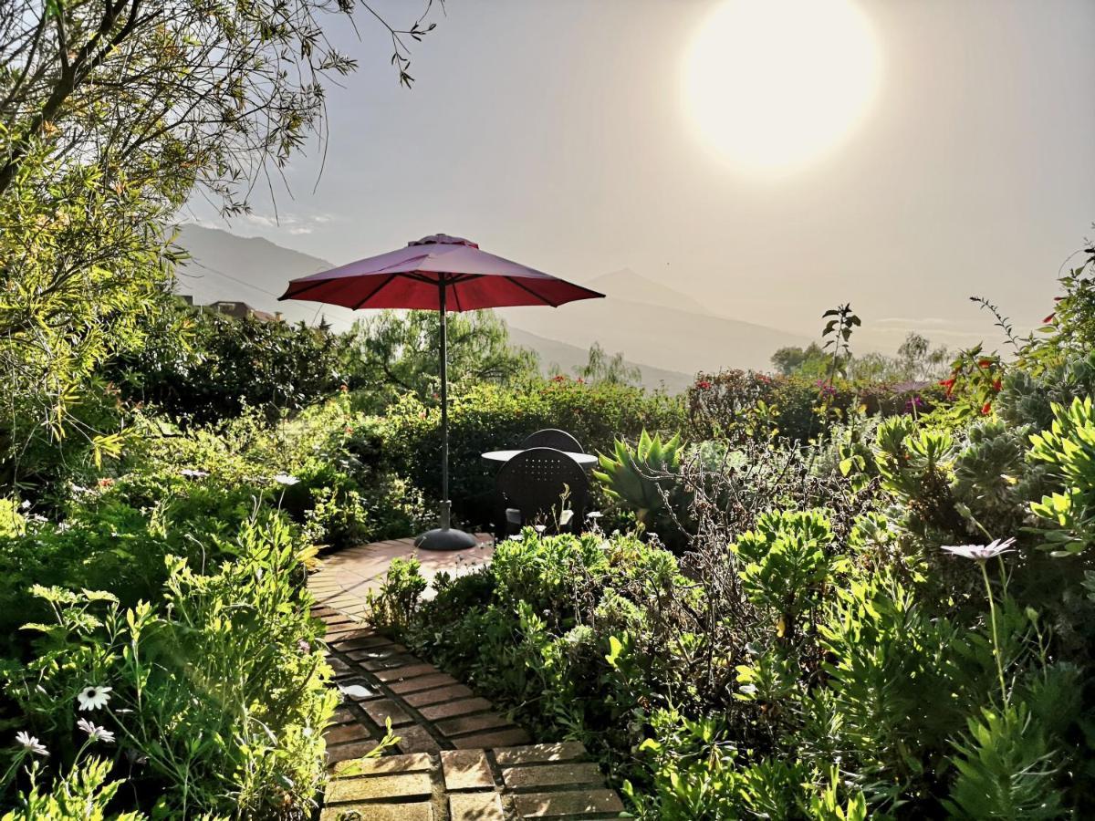Nanou House Villa La Matanza De Acentejo Dış mekan fotoğraf
